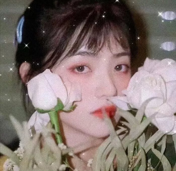 关于查理的真相